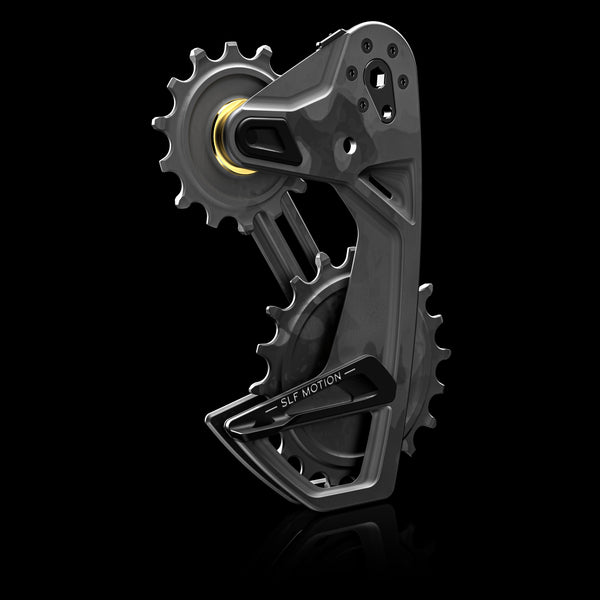 Paradigm - SRAM Eagle Transmission